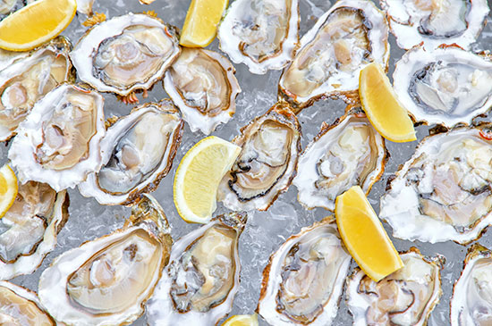 Auditing Solutions Grid Oysters